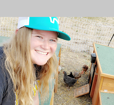 chicktractor2