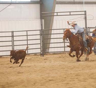 agripark5